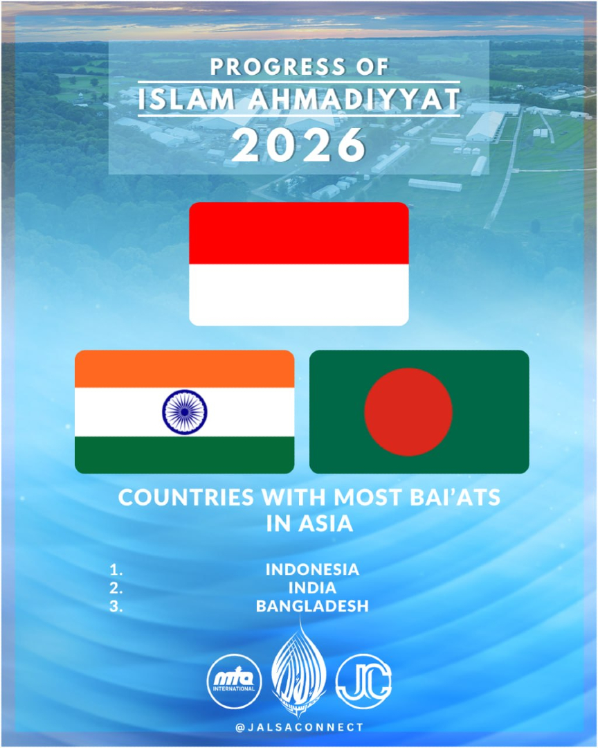mta_international