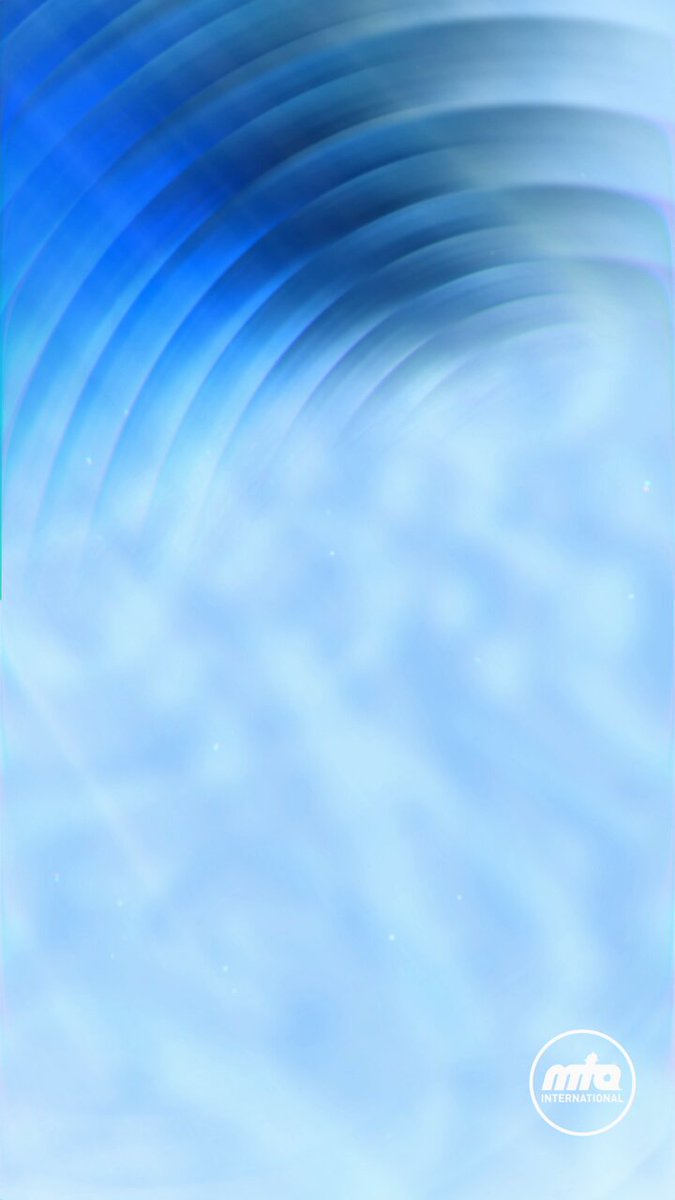mta_international