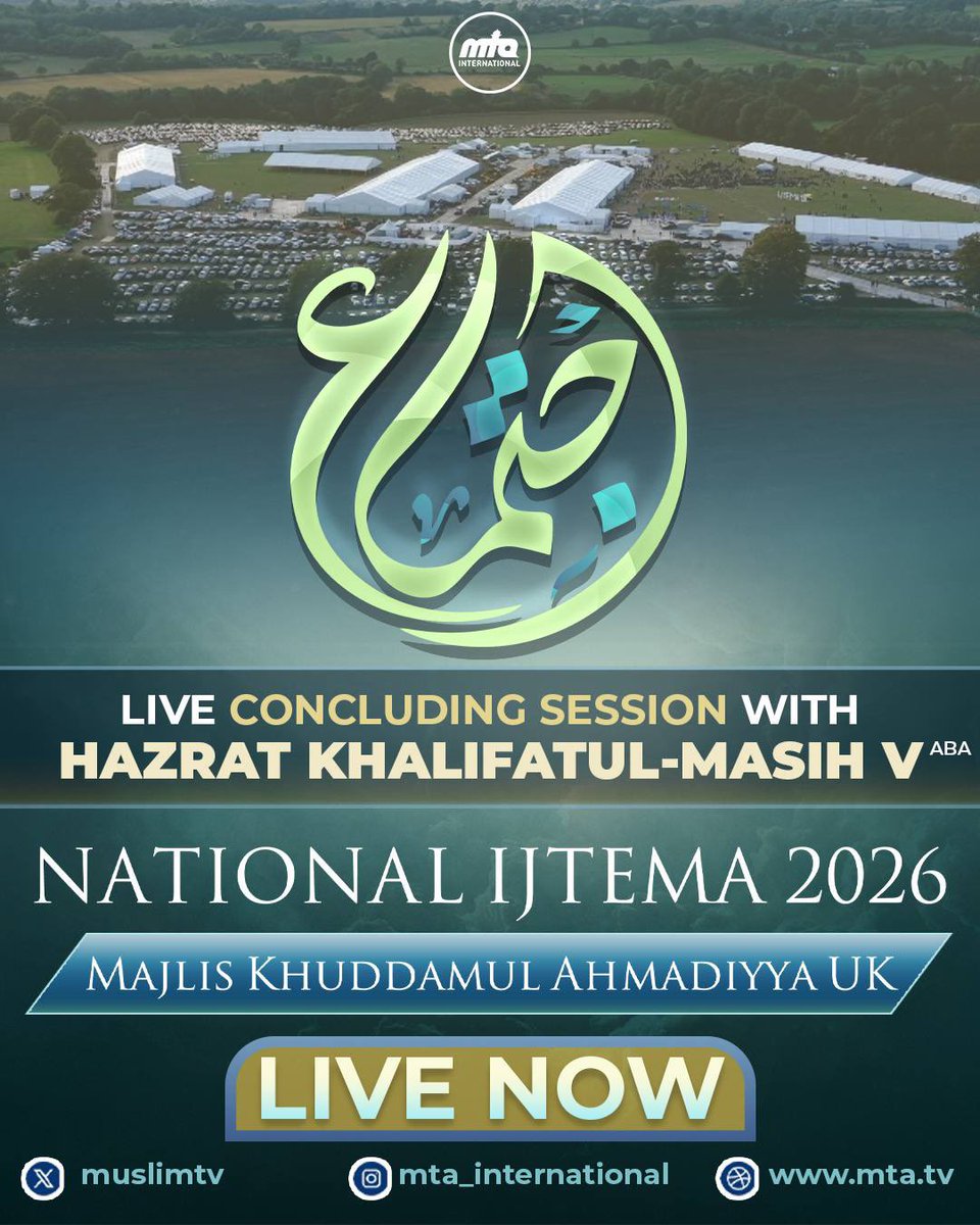 mta_international